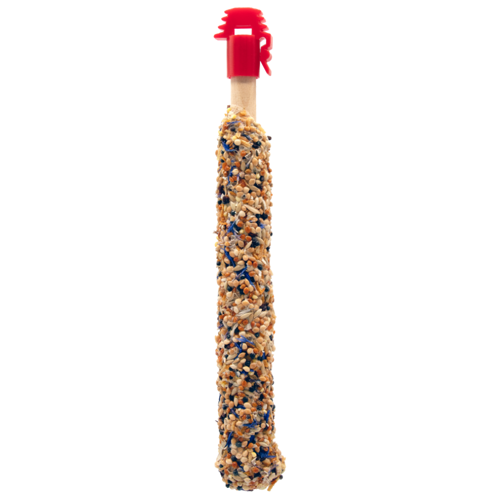 P15300162 (2).png